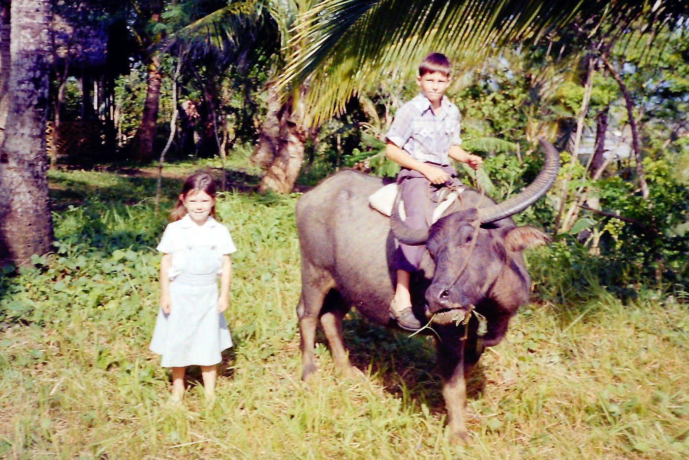 With a carabao, 1990–1993.
