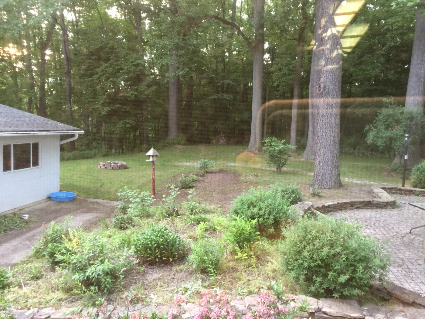 Our yard in Ohio, June 2016.