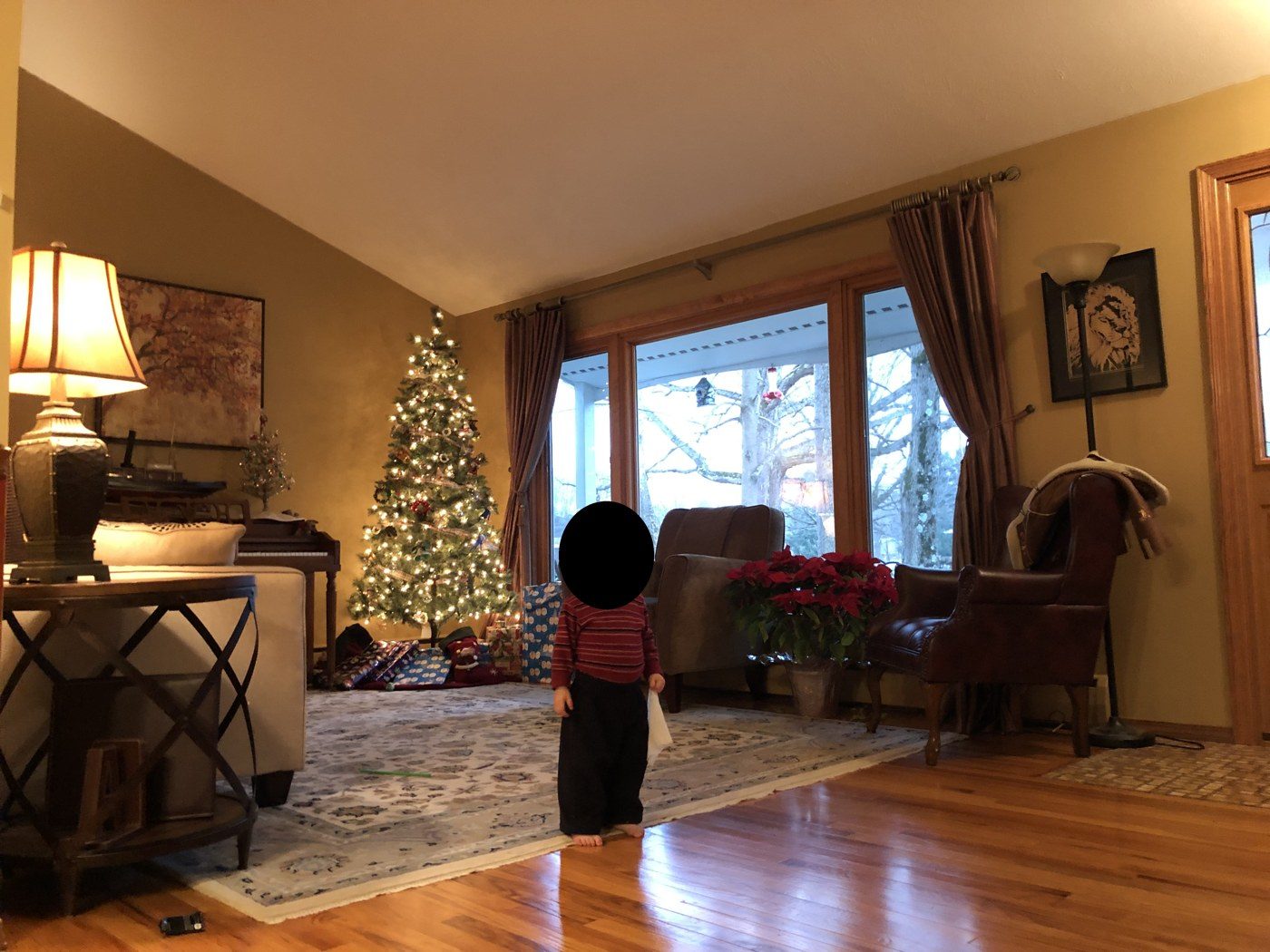 Our living room at Christmas, December 2018, with my Younger Son by the tree.