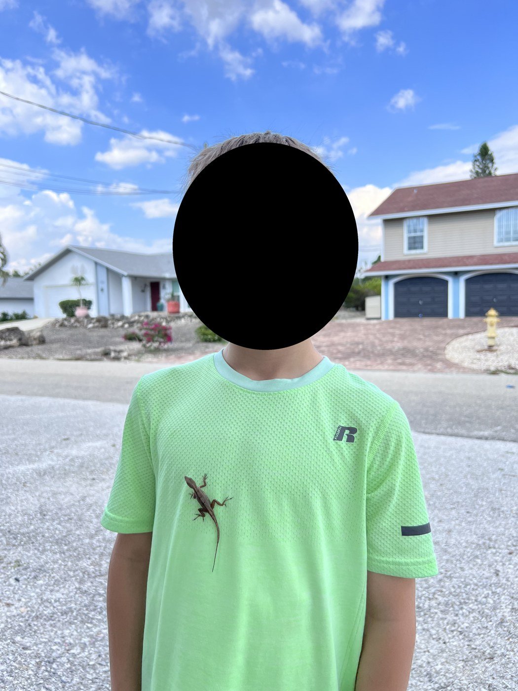 A lizard on his shirt, May 2022.