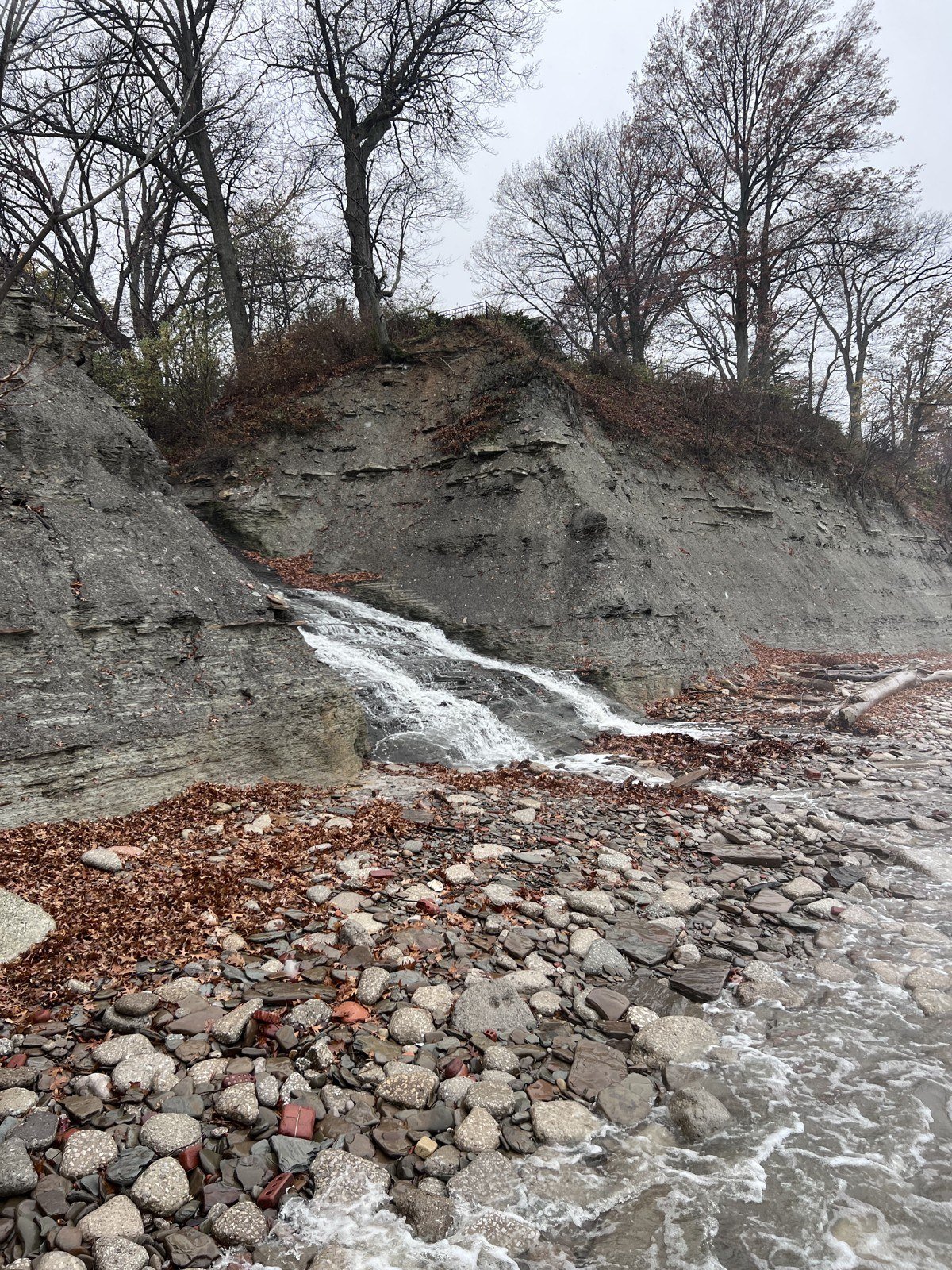 The shore of the lake, November 2022.