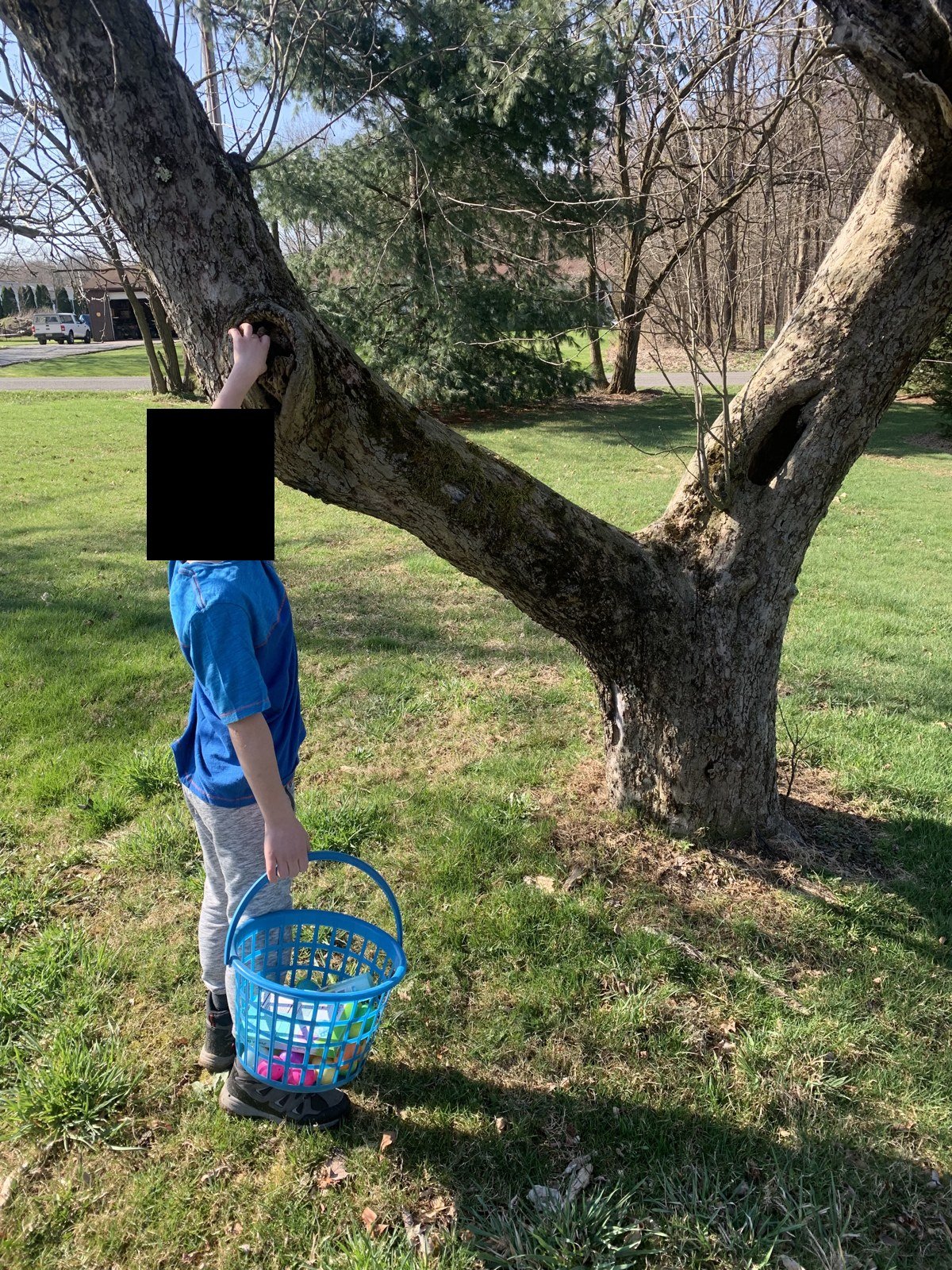 Our egg hunt, April 2023.
