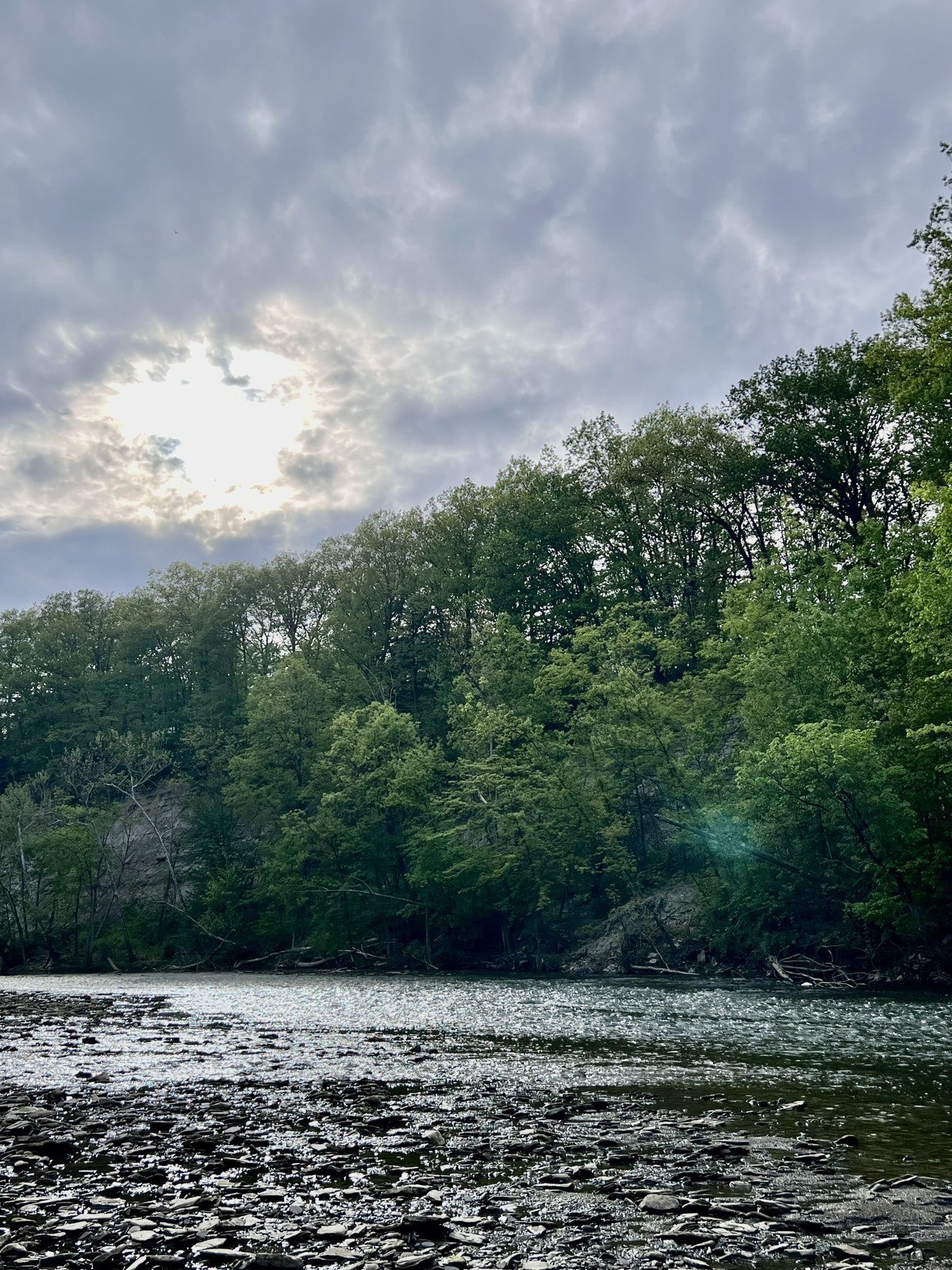 The river at evening, May 2023.