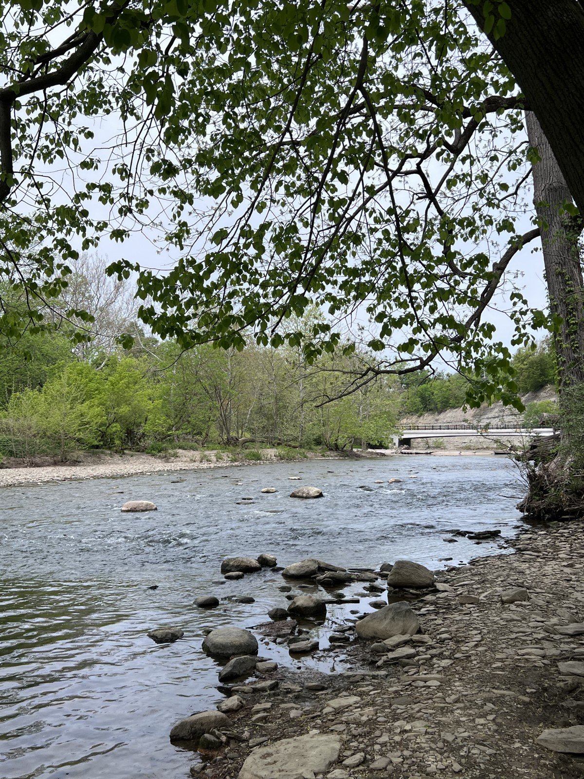 The creek, May 2023.