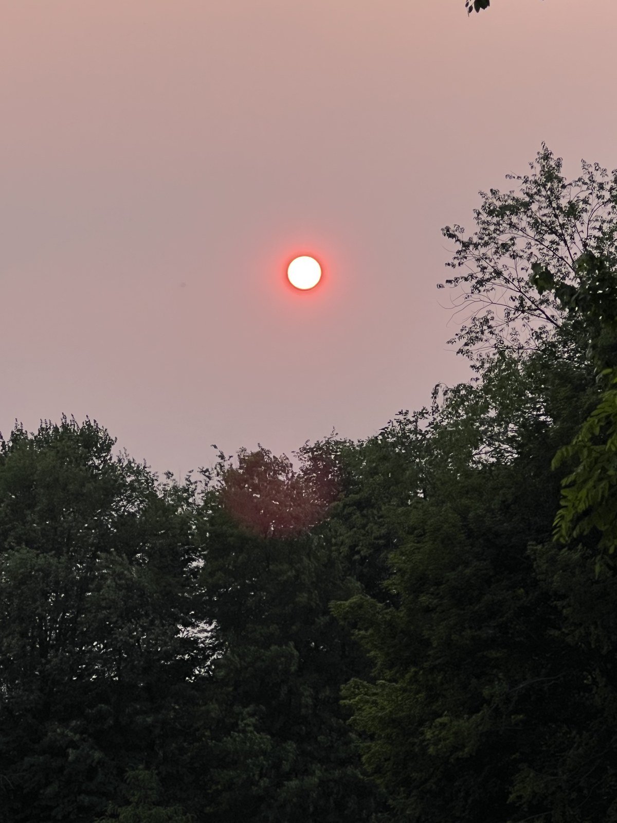 A red sun, June 2023.